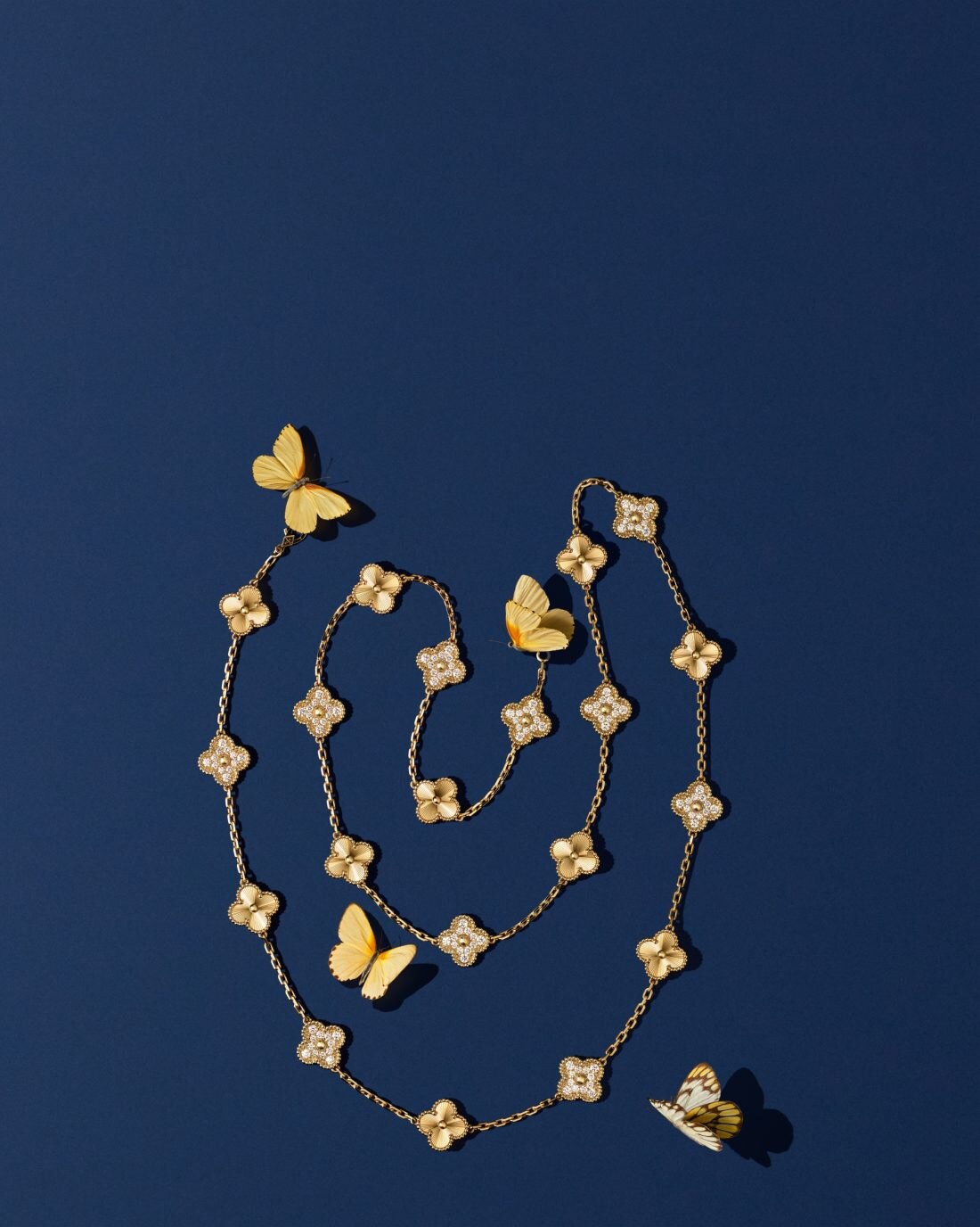 Discover the collection