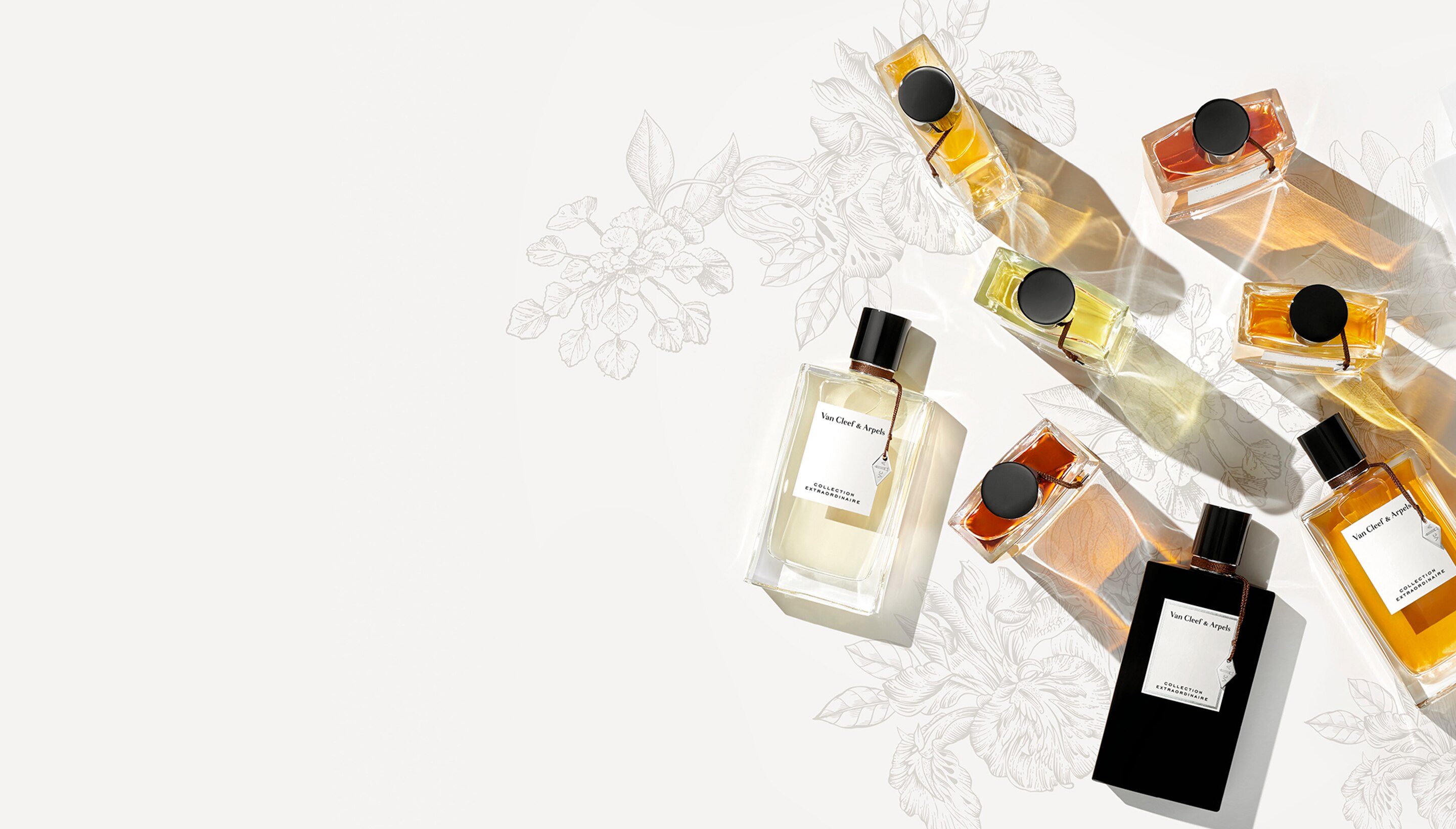 Dive into the heart of the finest materials