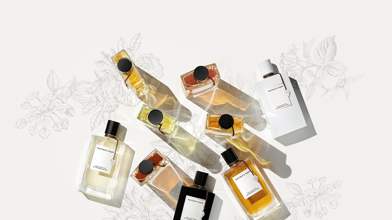 Collection Extraordinaire