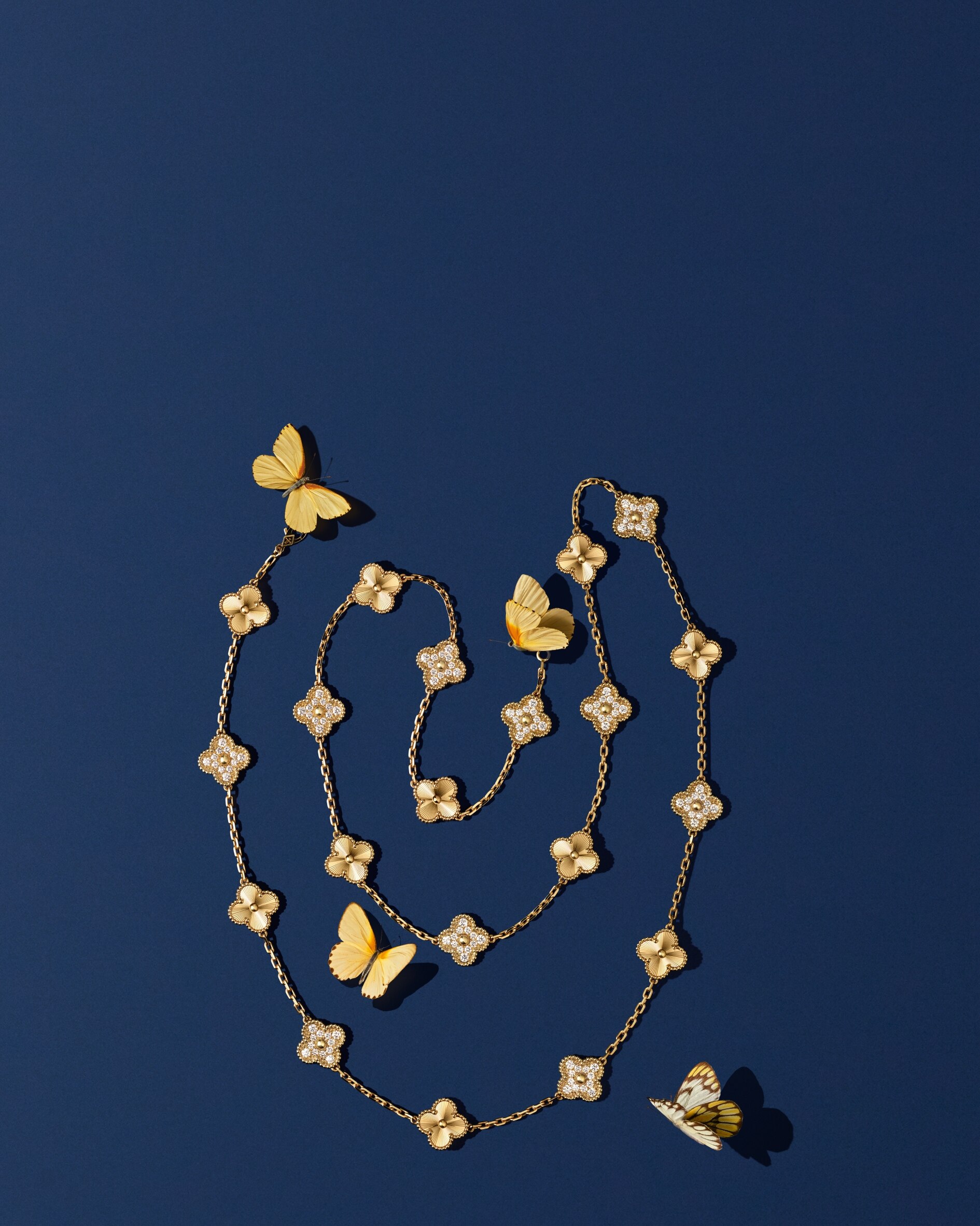 Discover the collection