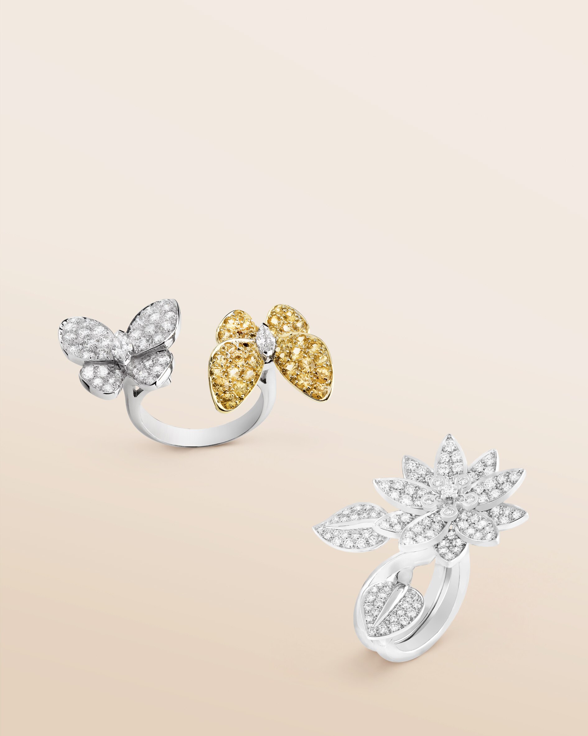 Discover the collection