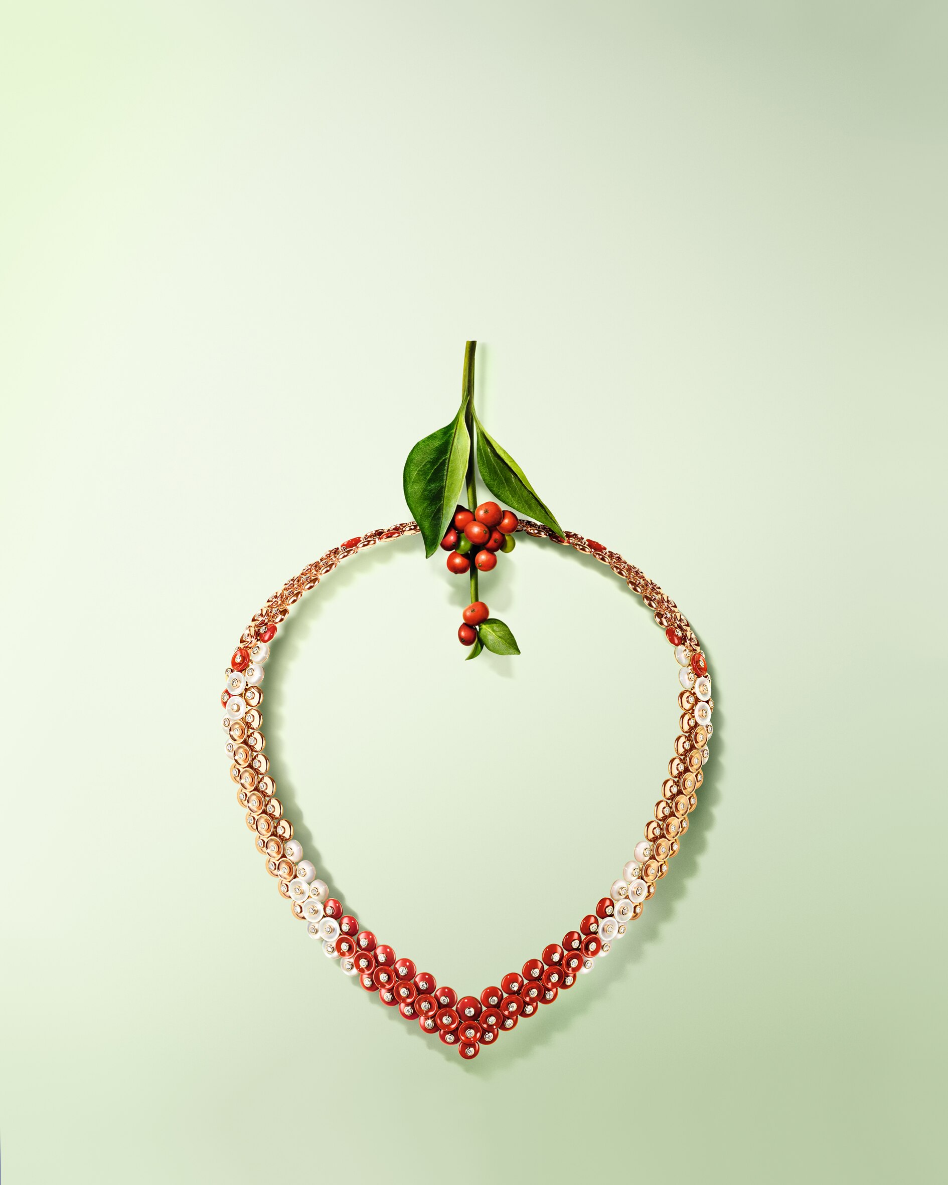 Discover the collection