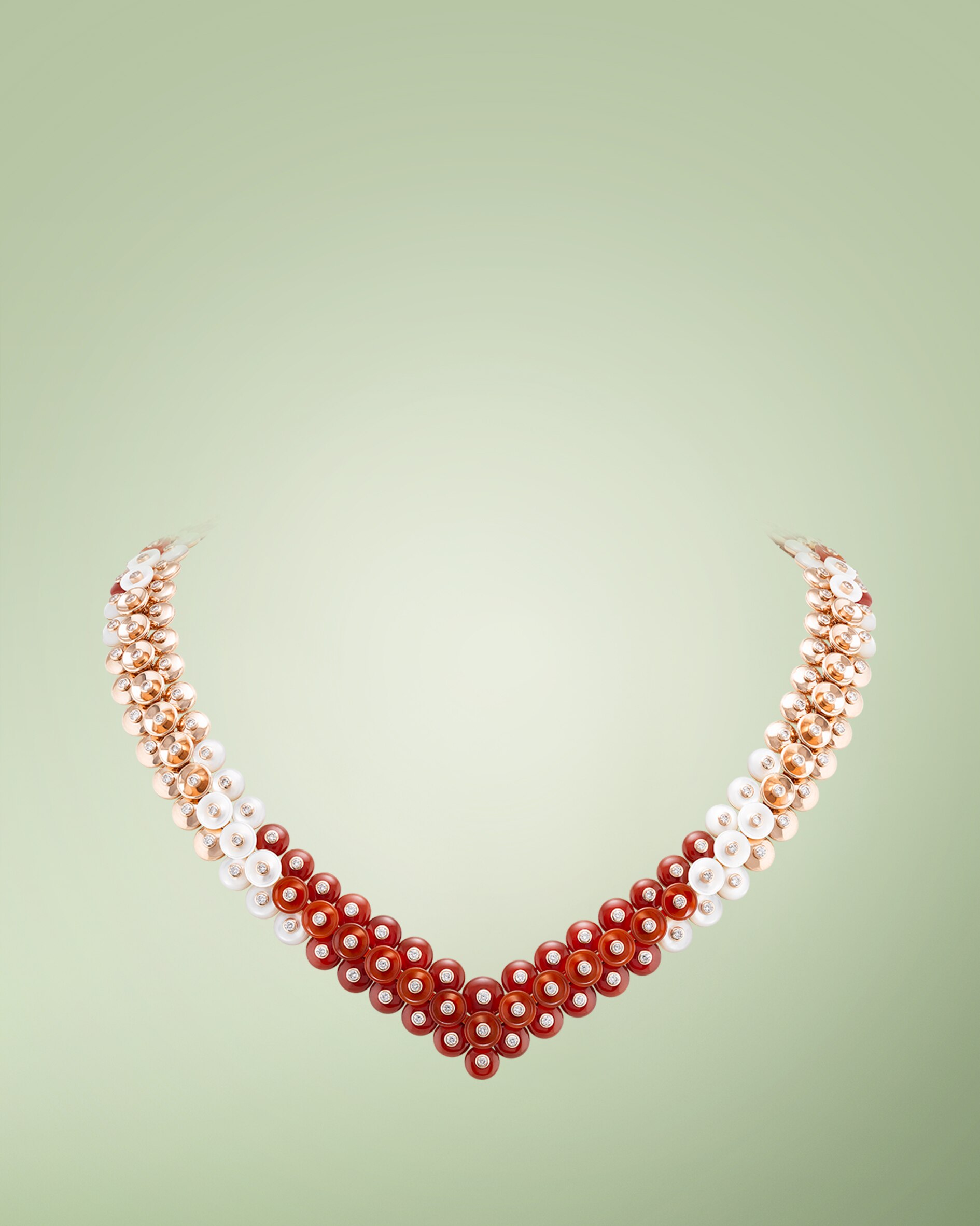 Discover the collection