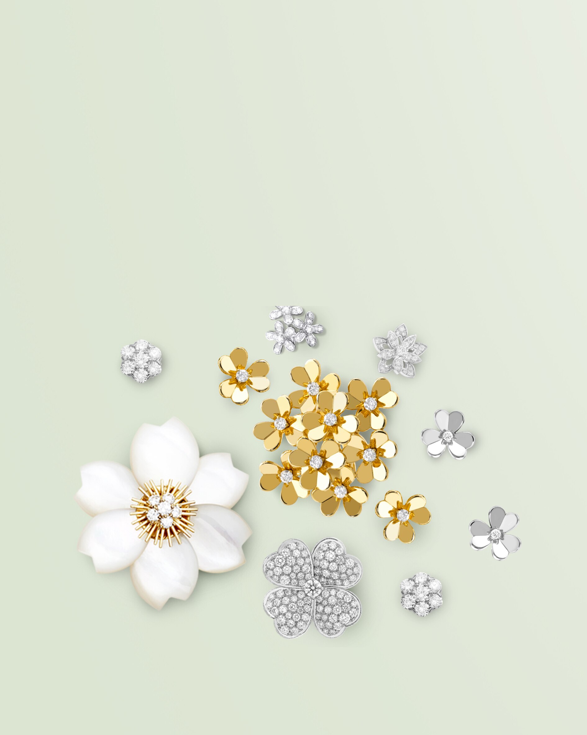 Discover the collection