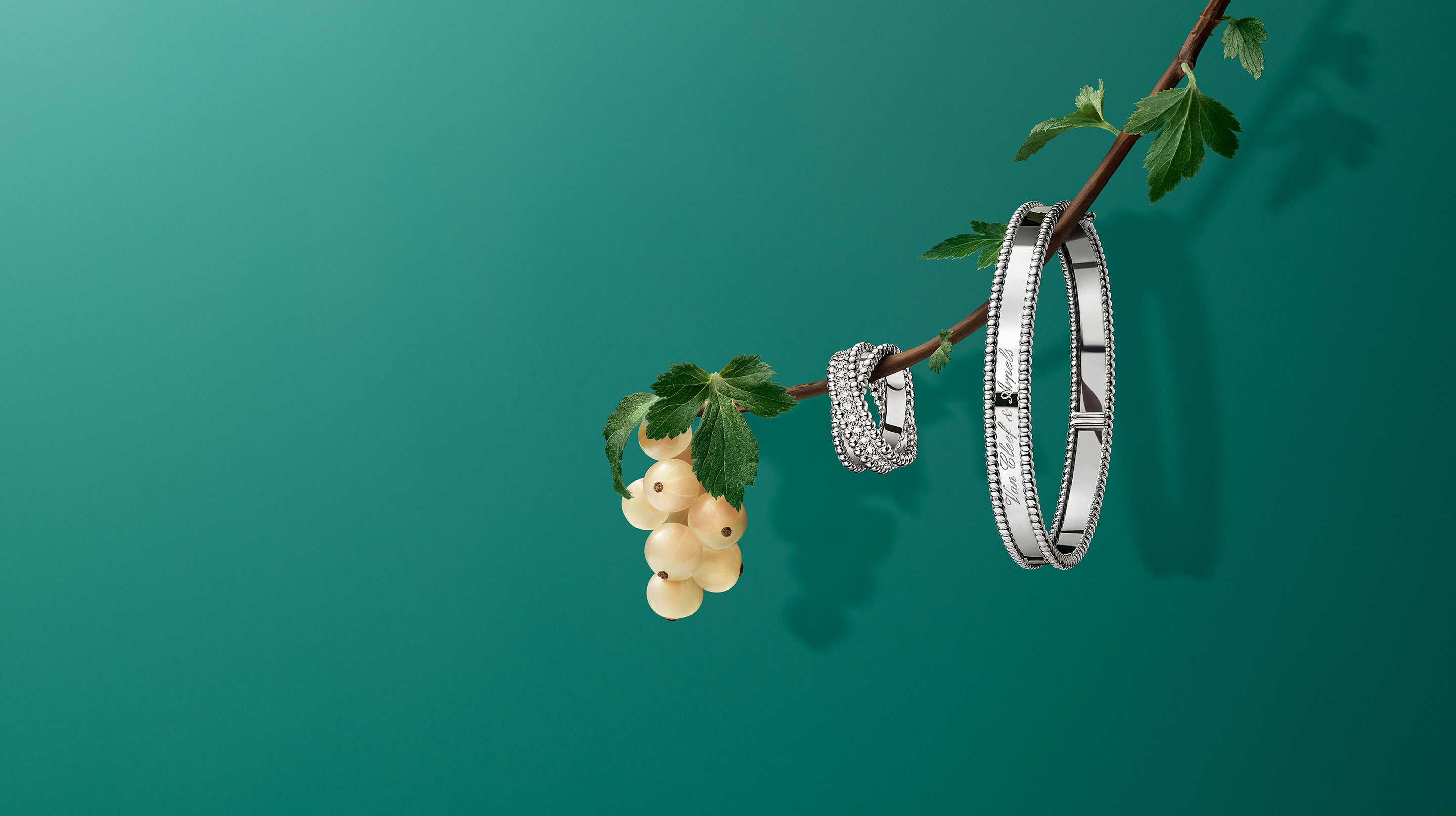 Discover the collection