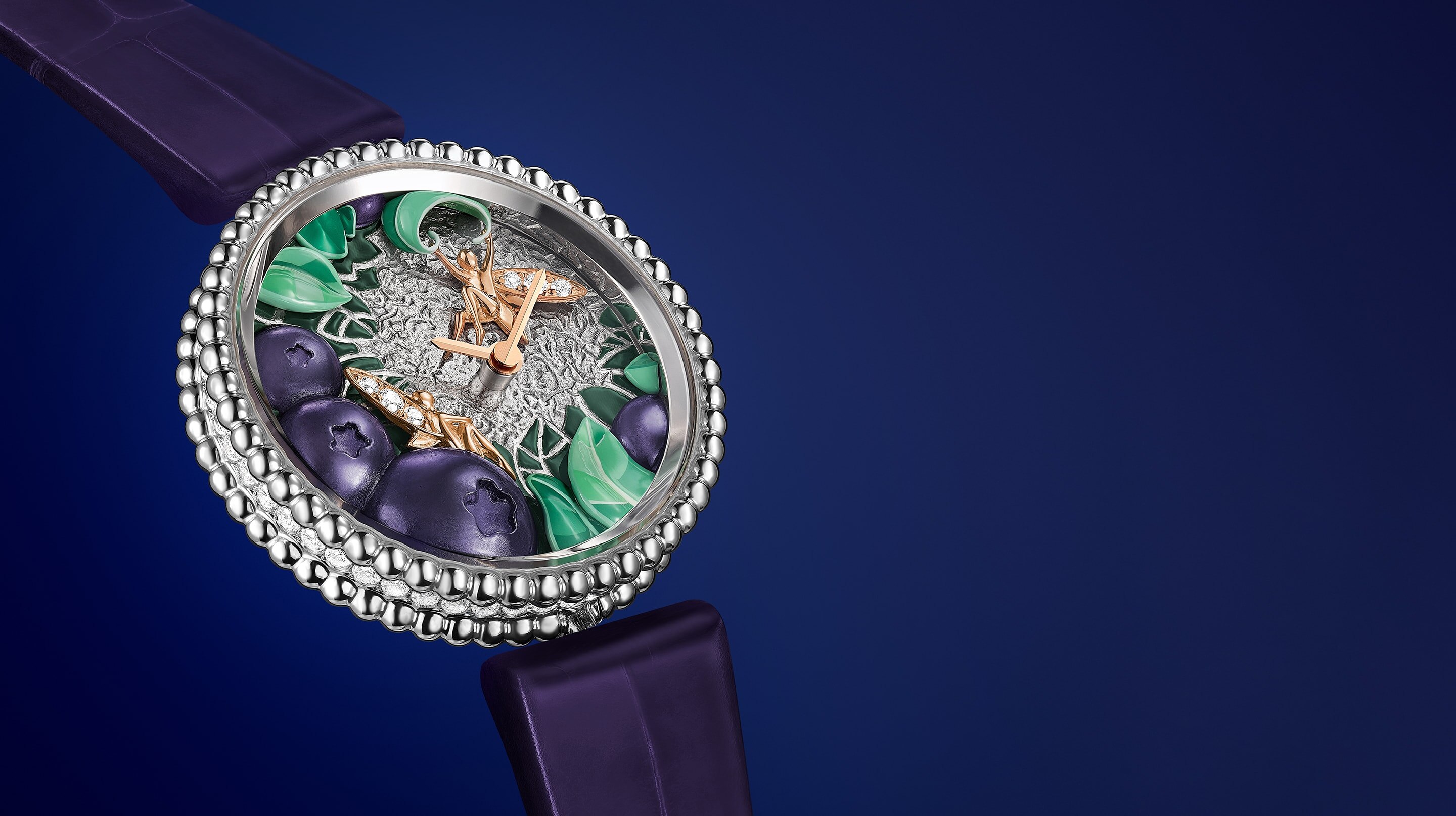 Discover the collection