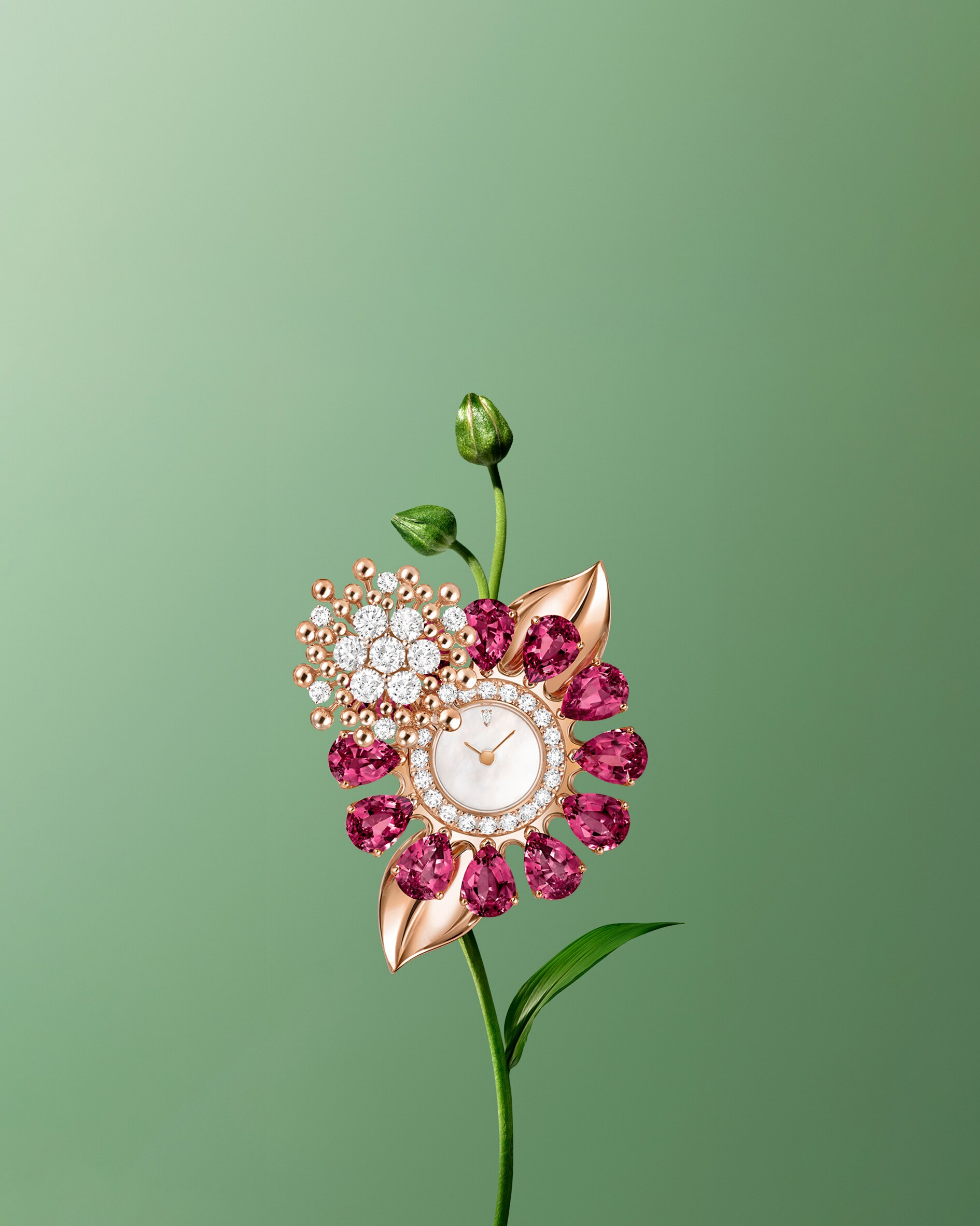 Discover the collection