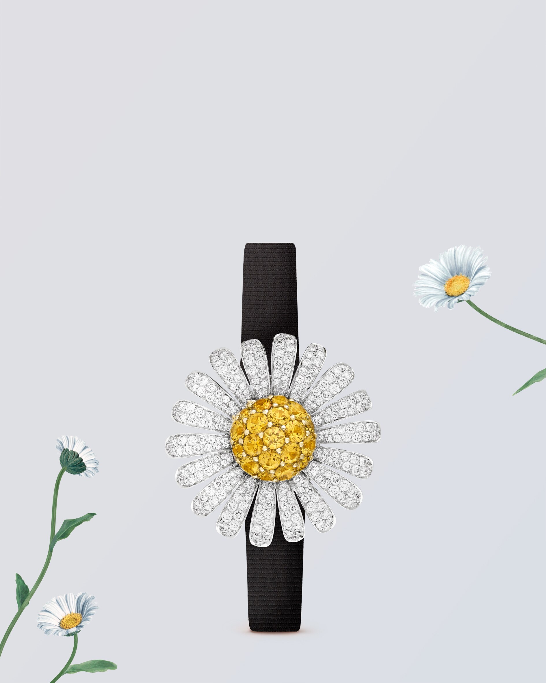 Discover the collection