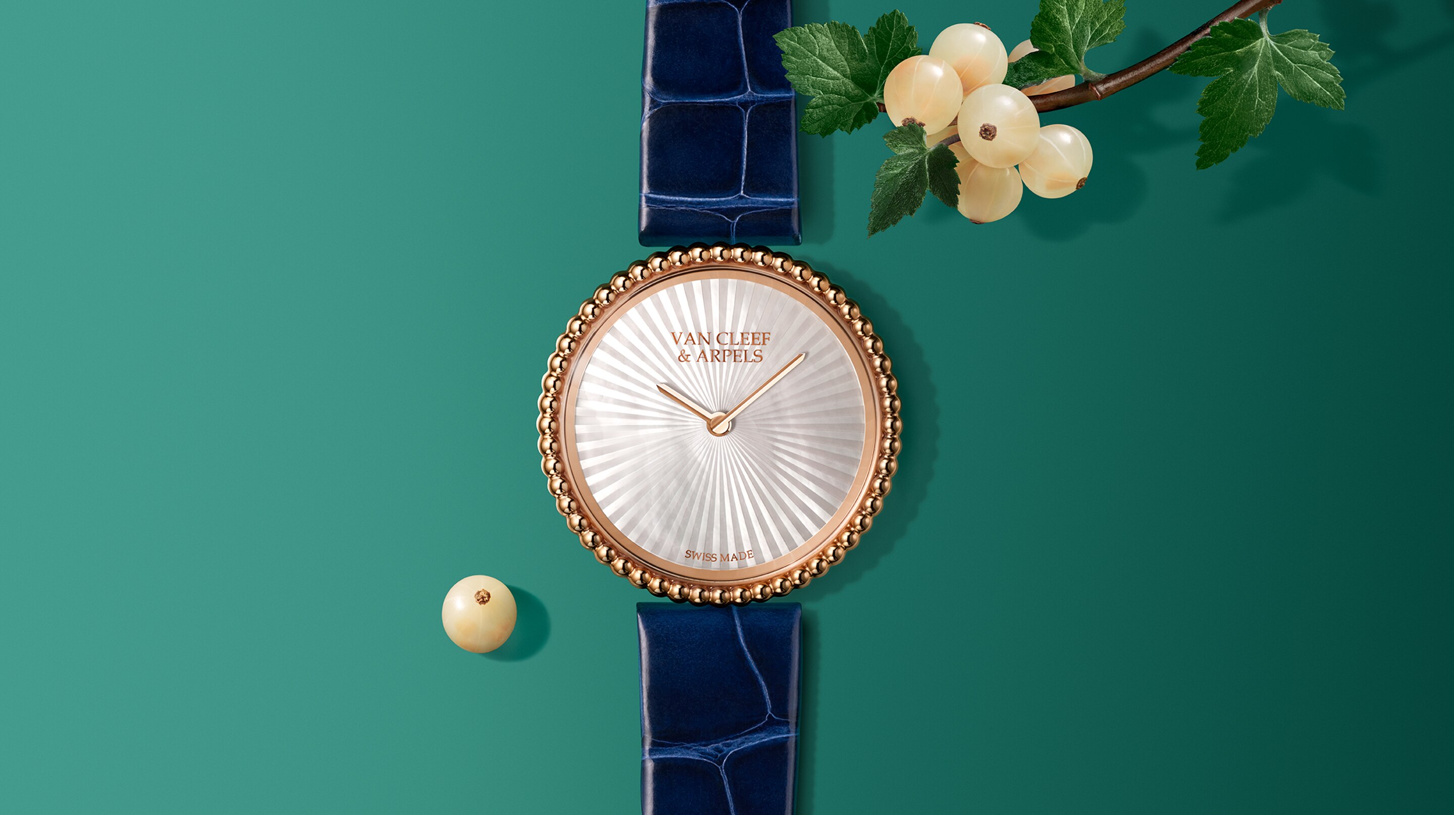 Discover the collection