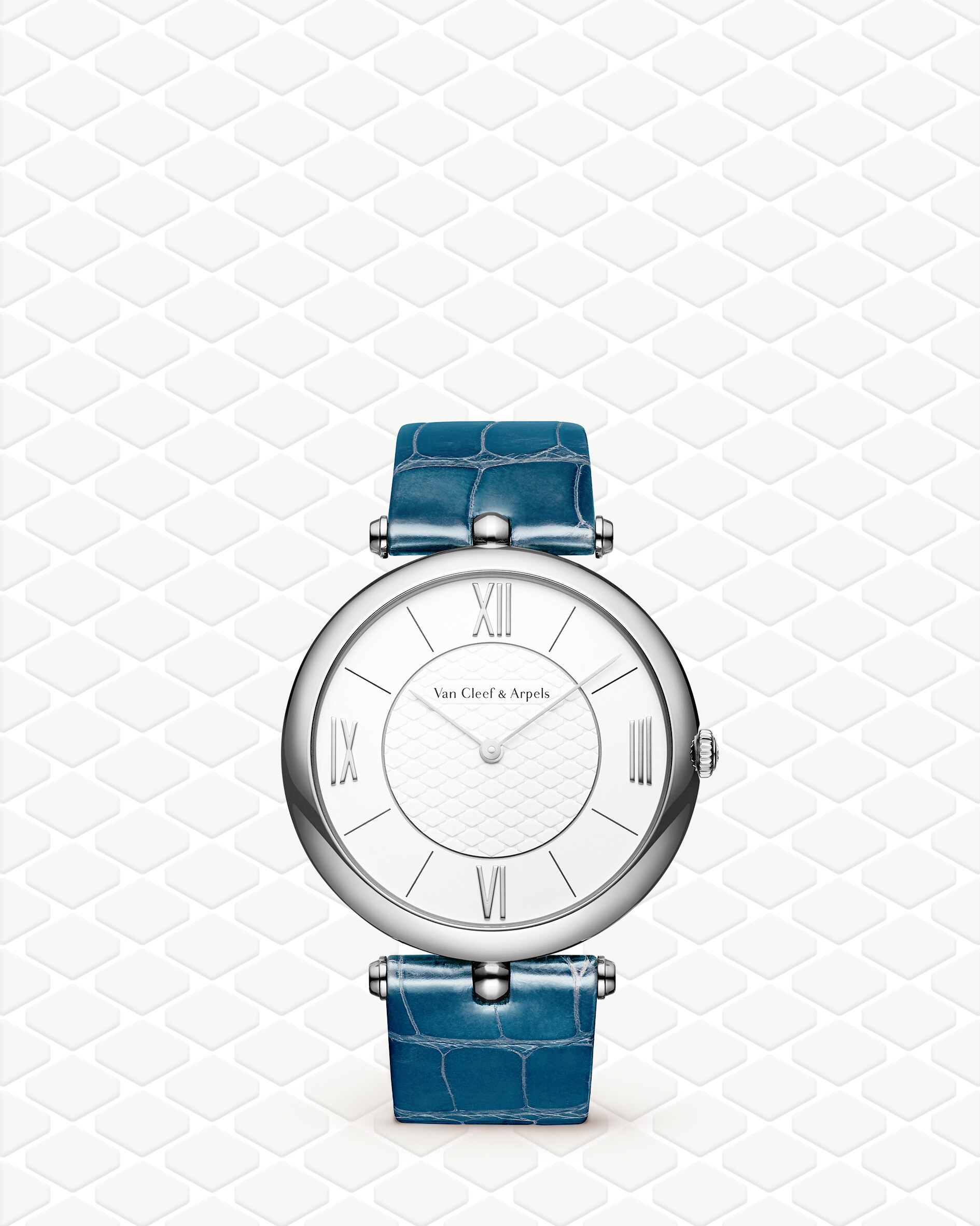 Discover the collection