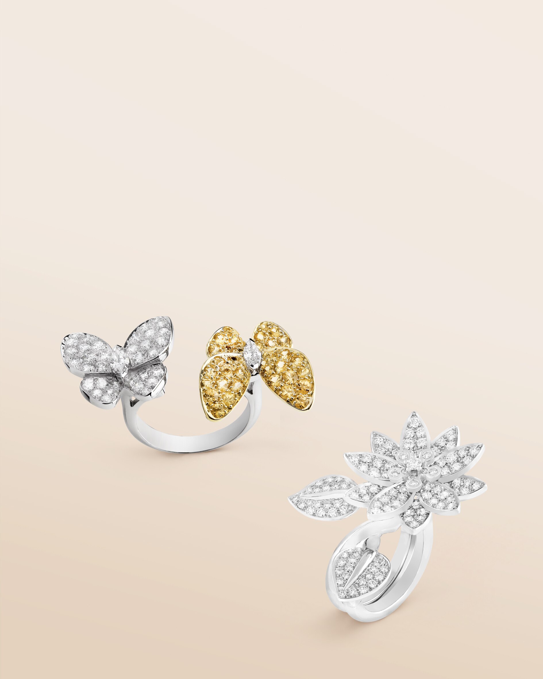 Discover the collection